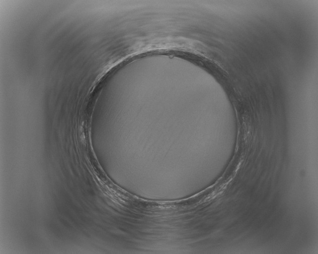 X0000051241497200507082110