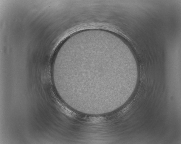 X0000051241498200507082110