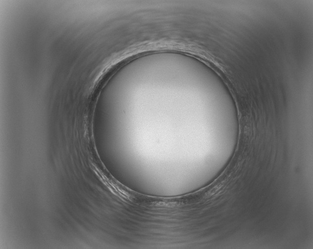 X0000051241499200507082110