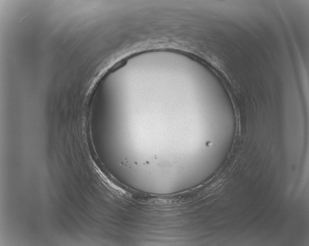 X0000051241500200507082110