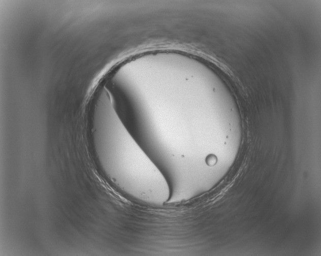 X0000051241502200507082110