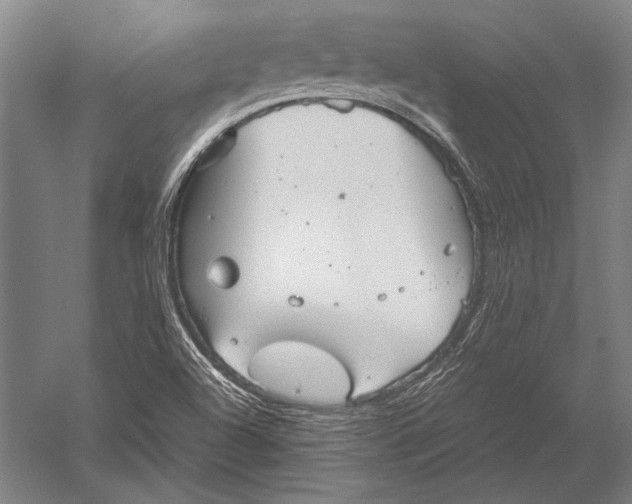 X0000051241504200507082110