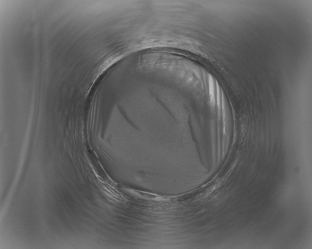 X0000051241505200507082110