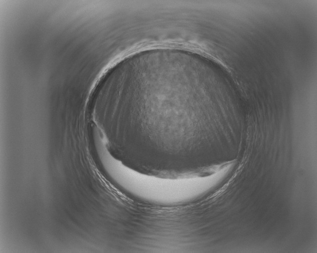 X0000051241506200507082110