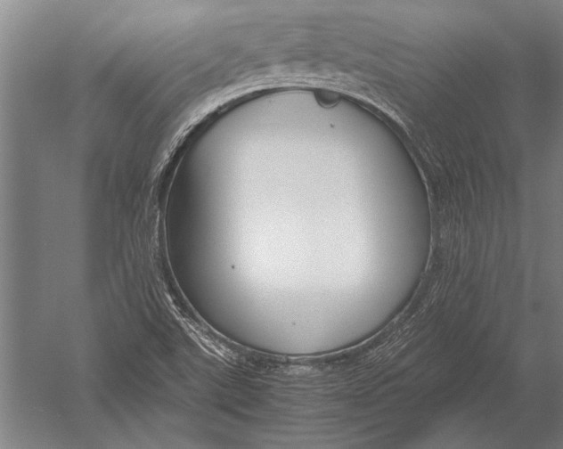 X0000051241507200507082110