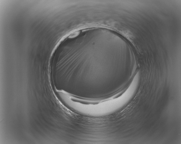 X0000051241508200507082110