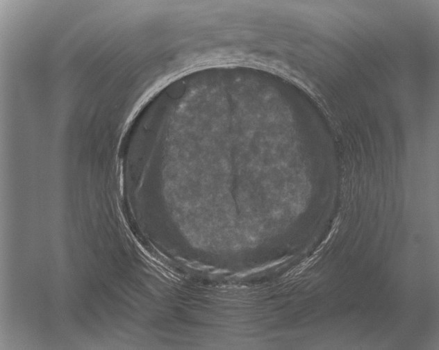 X0000051241509200507082110