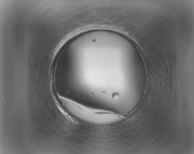 X0000051241511200507082110