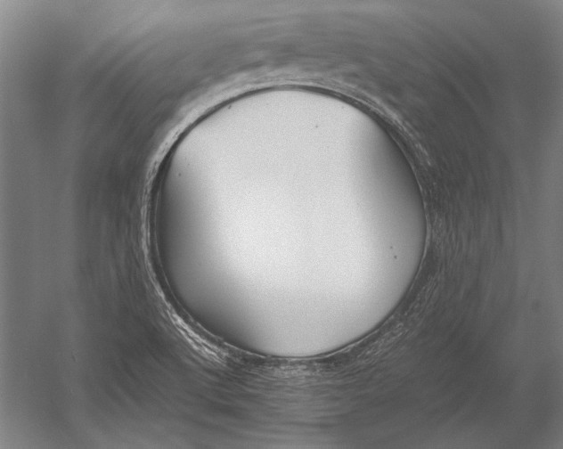 X0000051241512200507082110