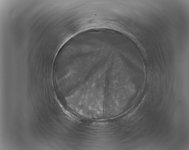 X0000051241513200507082110