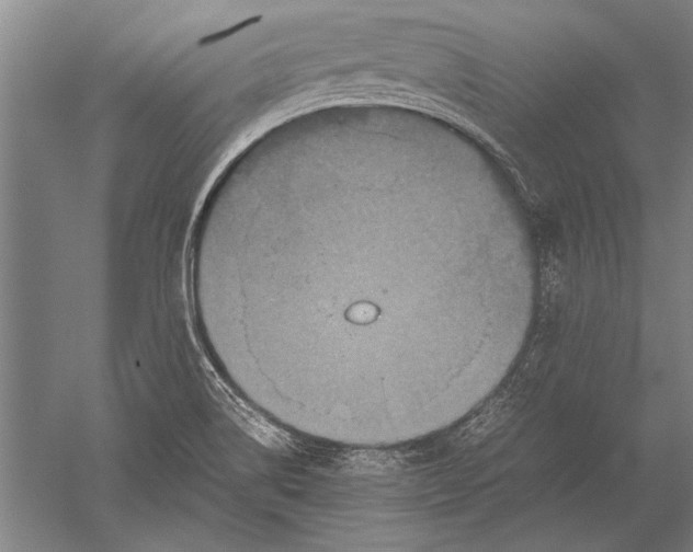 X0000051241514200507082110