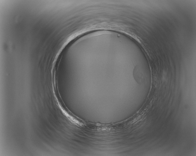 X0000051241515200507082110