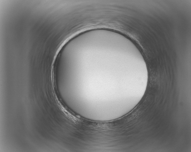 X0000051241516200507082110