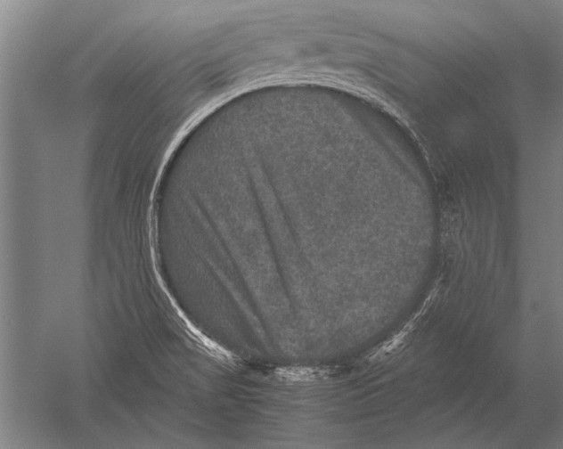 X0000051241517200507082110