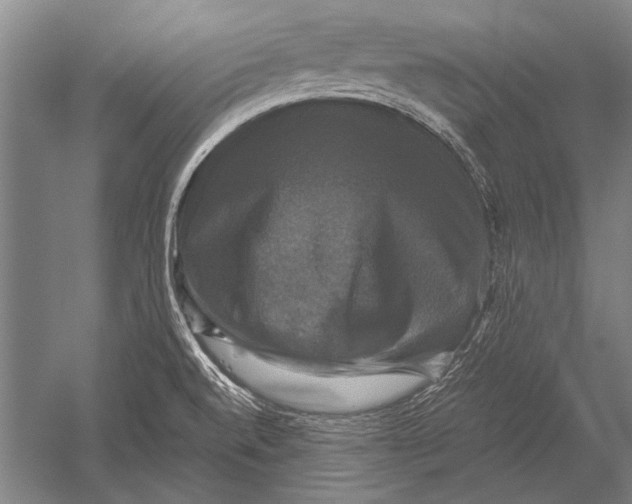 X0000051241520200507082111