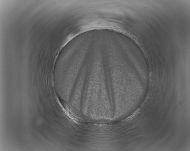 X0000051241521200507082111