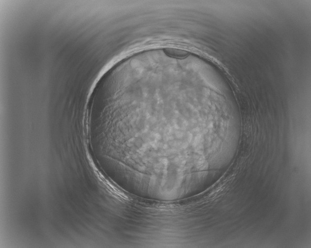 X0000051241522200507082111