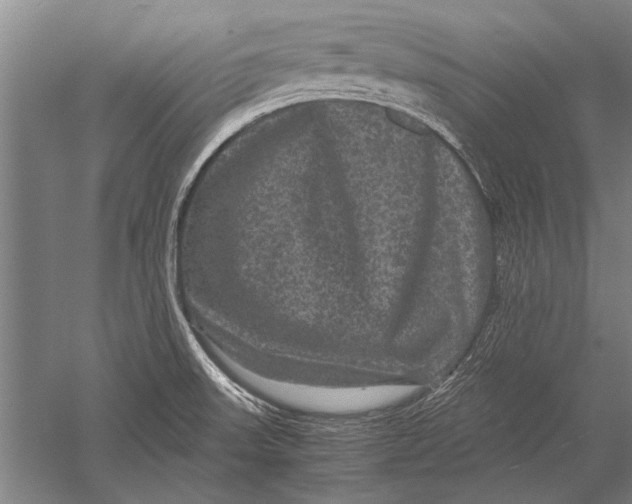 X0000051241523200507082111