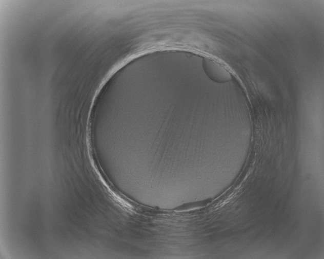 X0000051241525200507082111