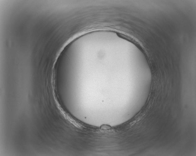 X0000051241526200507082111