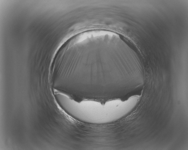 X0000051241527200507082111