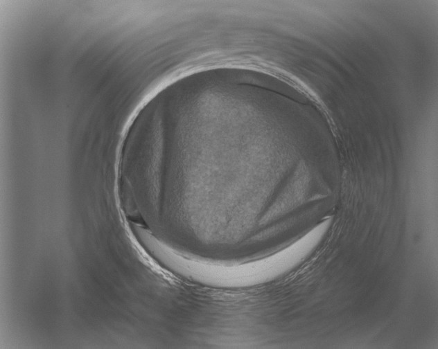 X0000051241528200507082111