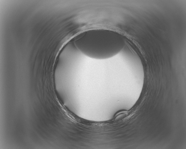 X0000051241529200507082111