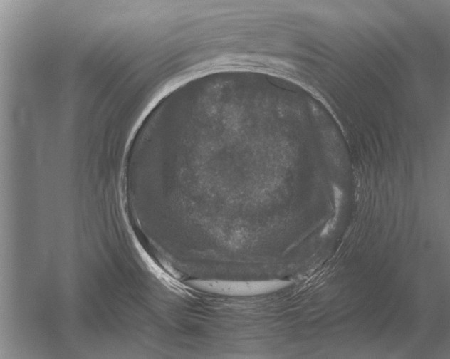 X0000051241531200507082111