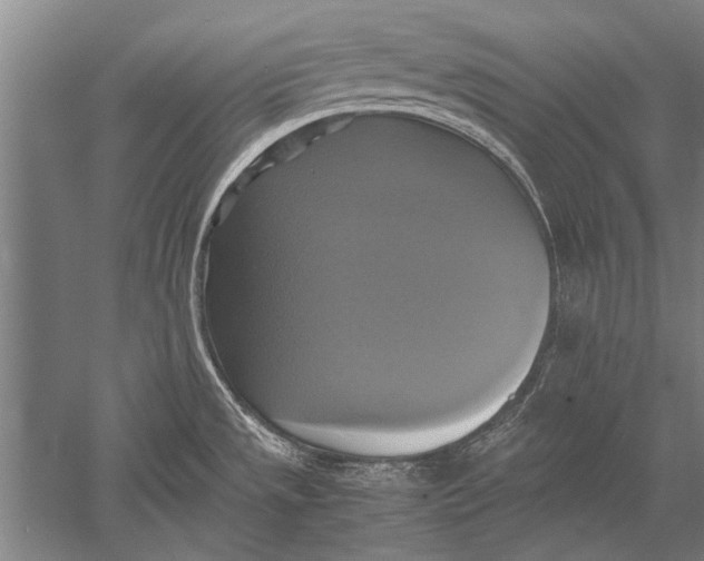 X0000051241533200507082111