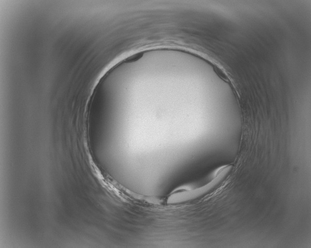 X0000051241534200507082111