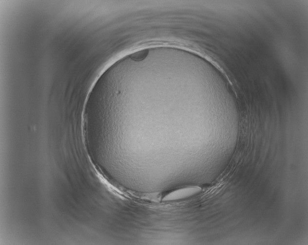 X0000051241535200507082111