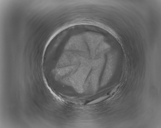 X0000051241536200507082111