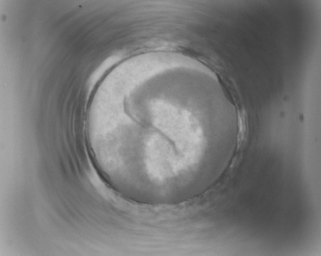 X0000051240003200507152136