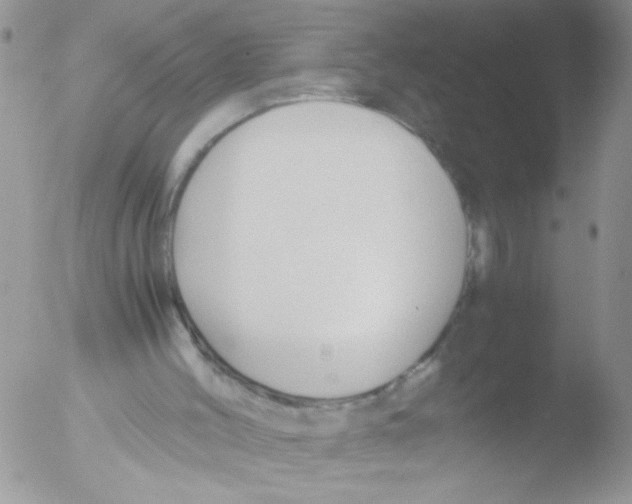 X0000051240004200507152136