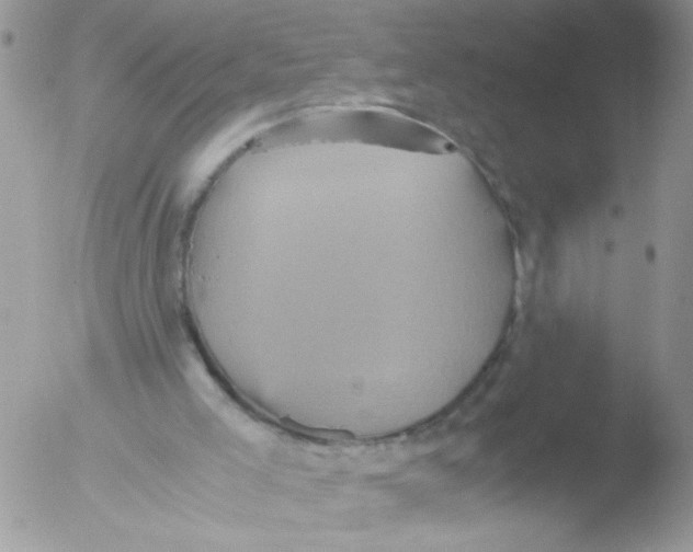 X0000051240005200507152136