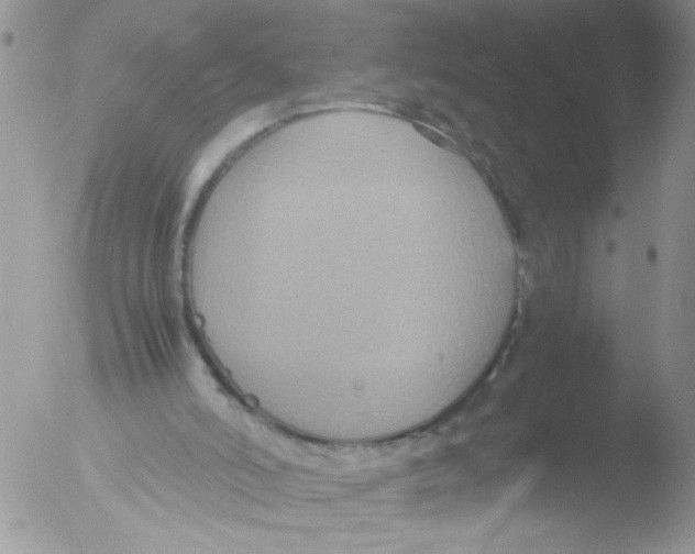 X0000051240006200507152135