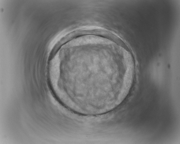 X0000051240007200507152135