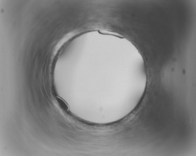 X0000051240008200507152135