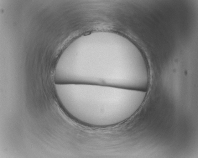 X0000051240009200507152135