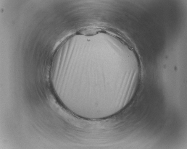 X0000051240010200507152135