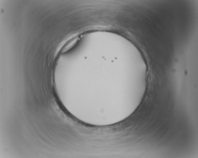 X0000051240011200507152135