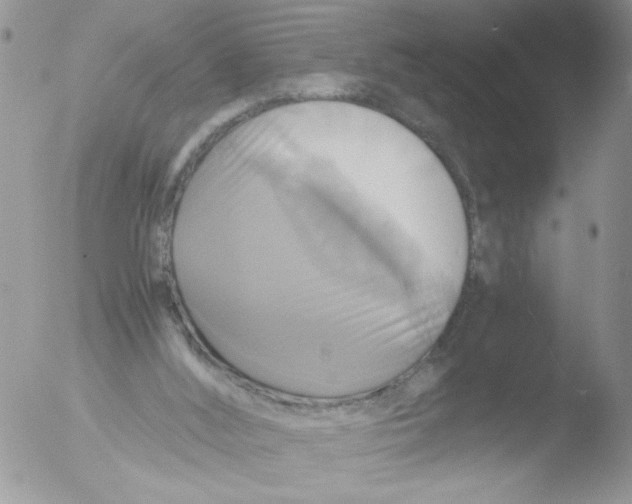 X0000051240012200507152135