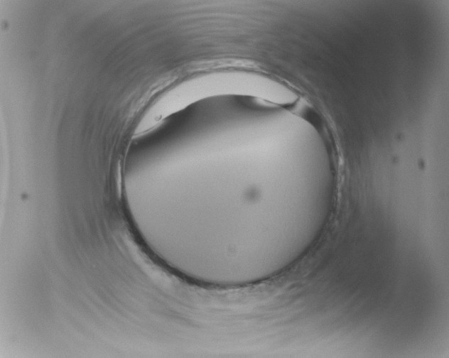 X0000051240013200507152135