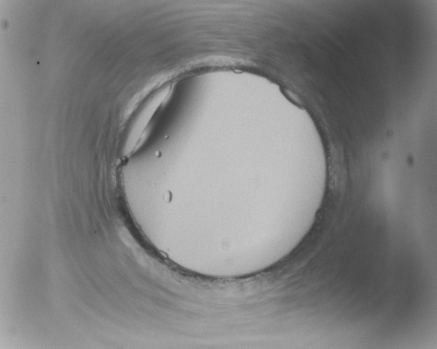 X0000051240015200507152135