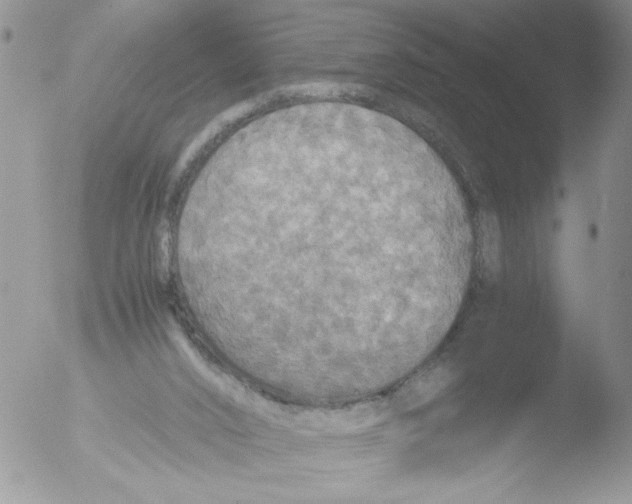 X0000051240016200507152135