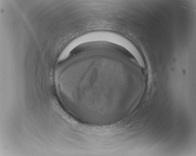 X0000051240017200507152135