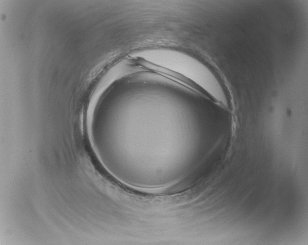 X0000051240019200507152135