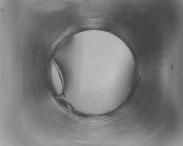 X0000051240020200507152135