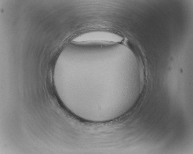 X0000051240021200507152135