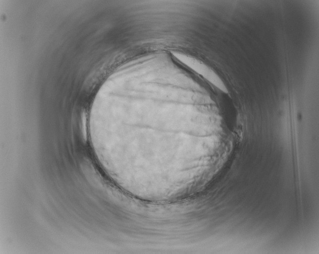 X0000051240022200507152135